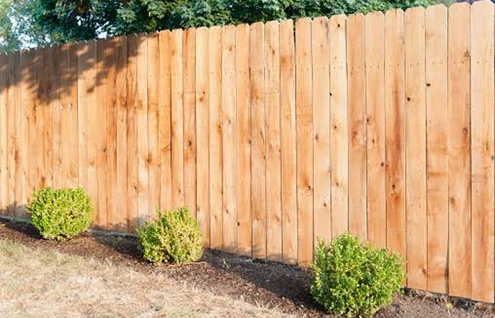 Cedar Fences
