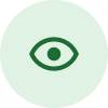 vision